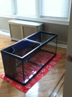 my tank 016.jpg