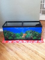 my tank 014.jpg