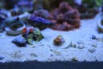 IMG_3572.jpg