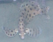 IMAG0189.jpg
