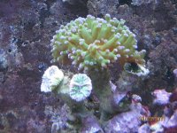 IMG_4046.JPG