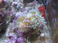 IMG_4048.JPG