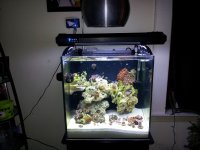 20111219_204752.jpg