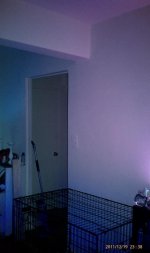 IMAG0555.jpg