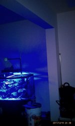 IMAG0554.jpg