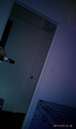IMAG0556.jpg