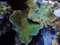 2011-05-17 18.57.33.jpg