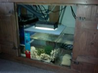 CR Plano Tinted 018.jpg