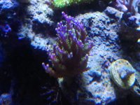 2011-06-10 17.01.32.jpg