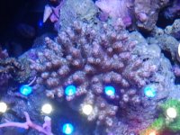 2011-06-10 19.08.25.jpg