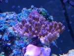 2011-06-14 19.08.00.jpg