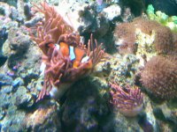 IMG-20111224-00127.jpg