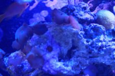 IMG_4141.jpg