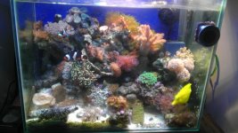 IMAG0027.jpg