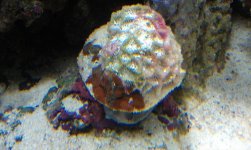 IMAG0091.jpg