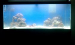 marks new tank 75.jpg