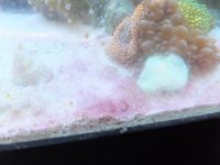 DSCF0059.JPG