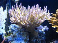 IMG_9048.jpg
