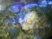 IMG_20110621_160441.jpg
