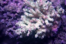 IMG_0516.JPG