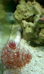 ImageUploadedByTapatalk1320516521.200749.jpg