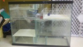 2012-01-07_18-56-33_834.jpg