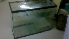 2012-01-07_18-56-57_861.jpg