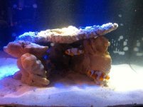 IMG_0879.jpg