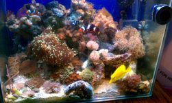 IMAG0177.jpg
