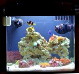 bc8 NOVEMBER 8 2011.jpg