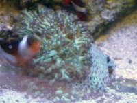 PICT0163.jpg