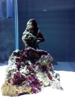 IMG_3505.jpg