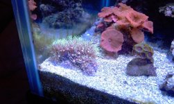 IMAG0710.jpg
