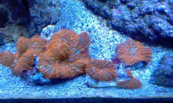 IMAG0709.jpg