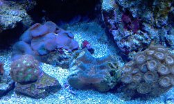 IMAG0718.jpg