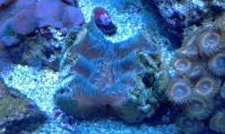 IMAG0717.jpg