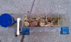 IMAG0031.jpg