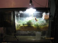 IMG_4163.JPG