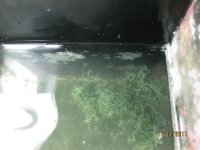 IMG_4164.JPG