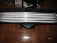IMG_4160.JPG