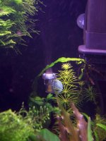 new tank pix 002.jpg