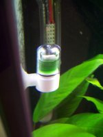 new tank pix 003.jpg