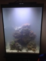 photo 3 (2).jpg