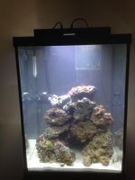 photo 2 (1).jpg