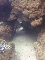 photo 4 (1).jpg