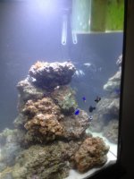 photo 4 (2).jpg