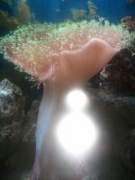 2011-09-04 14.47 (1).jpg