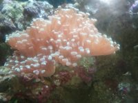 2011-09-04 14.47.jpg