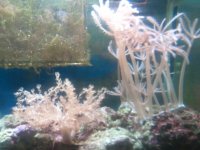 2011-09-04 14.48 (2).jpg