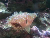 2011-09-04 14.48 (3).jpg